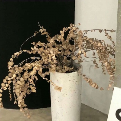 兽设节日场景创作兽圈社群